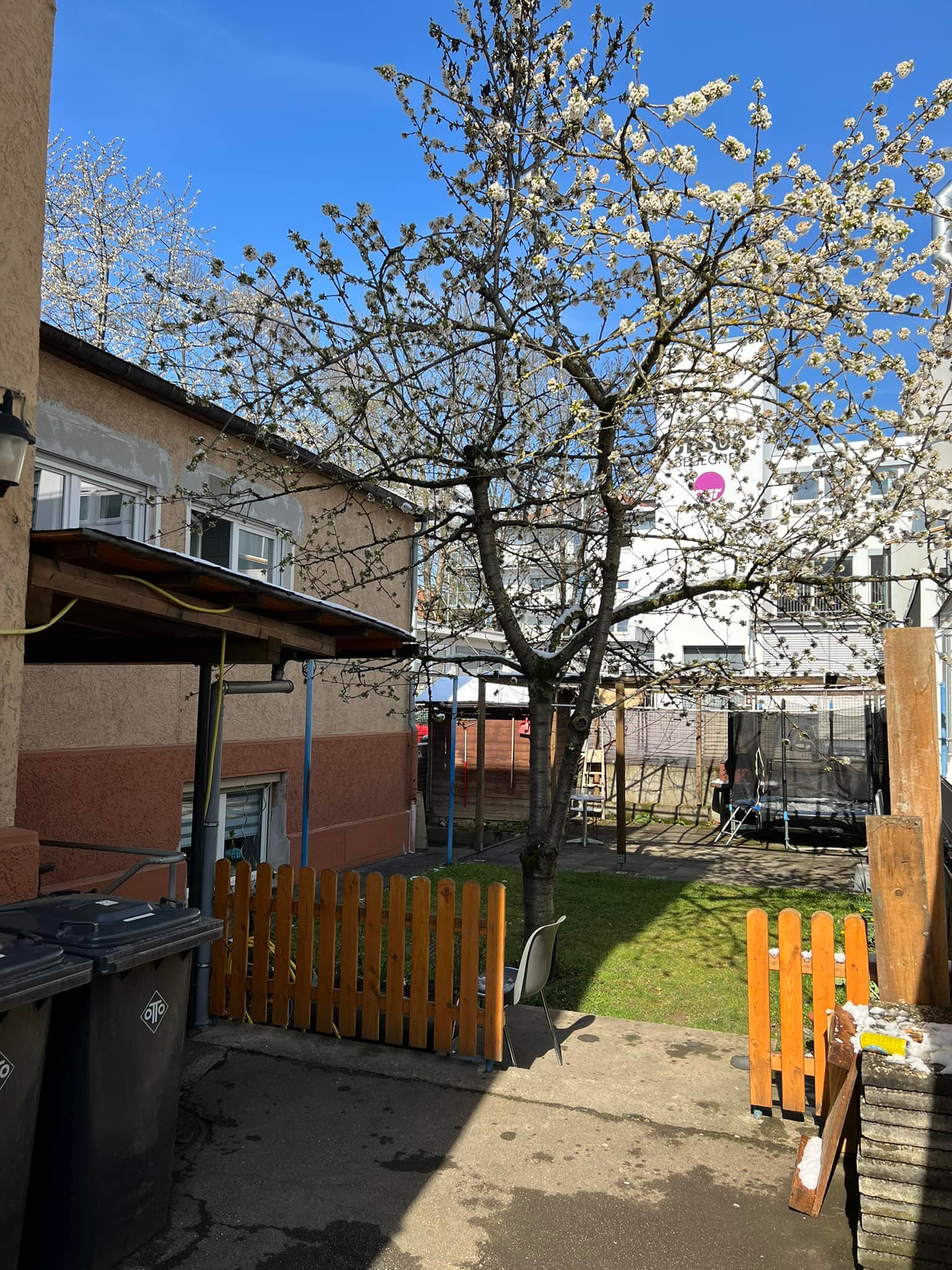 Reutlingen Mehrfamilienhaus zum Kauf 6 Wohnungen Wohneinheiten Immobilienmakler Haus kaufen Gartenansicht